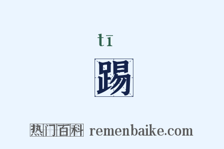 踢是什么意思的图片
